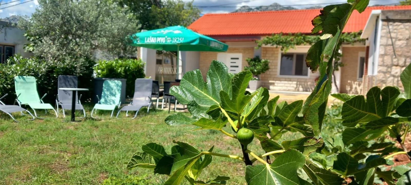 Holiday Home Zeljko,Marija & Jakov Starigrad Paklenica Extérieur photo